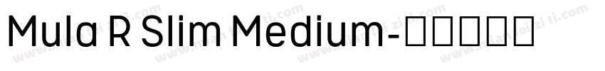 Mula R Slim Medium字体转换